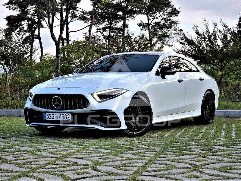 2019 Mercedes Benz CLS-Class