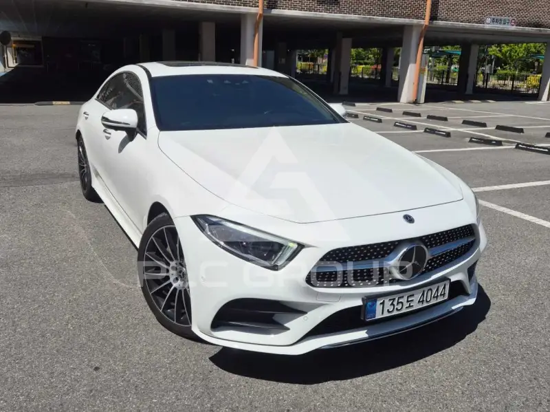 2019 Mercedes Benz CLS-Class