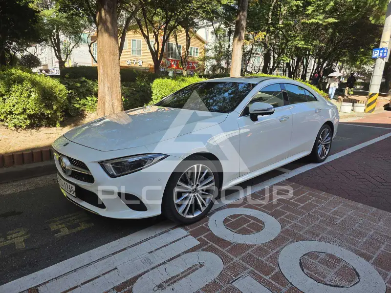 2019 Mercedes Benz CLS-Class
