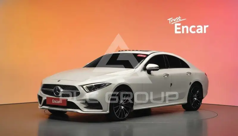 2019 Mercedes Benz CLS-Class