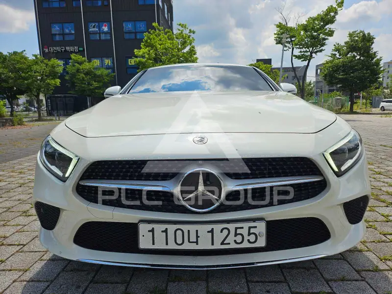 2019 Mercedes Benz CLS-Class