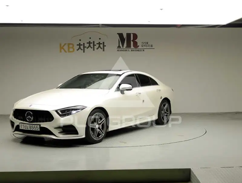 2019 Mercedes Benz CLS-Class