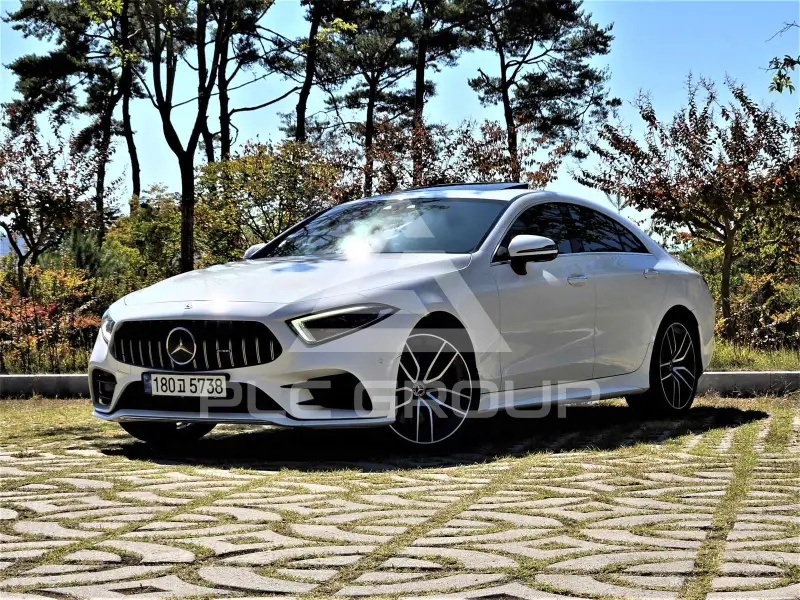 2019 Mercedes Benz CLS-Class