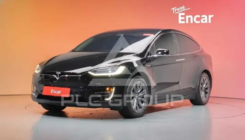 2019 Tesla Model X