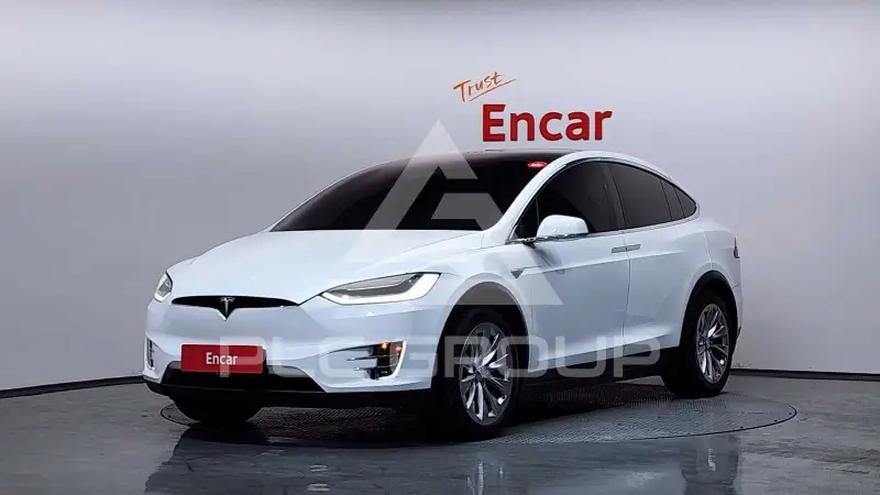 2019 Tesla Model X