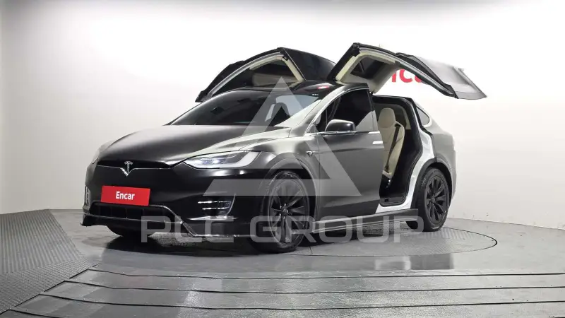 2019 Tesla Model X