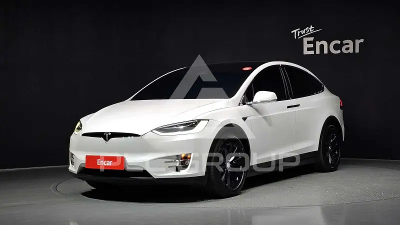 2019 Tesla Model X