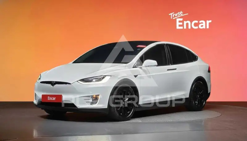 2019 Tesla Model X