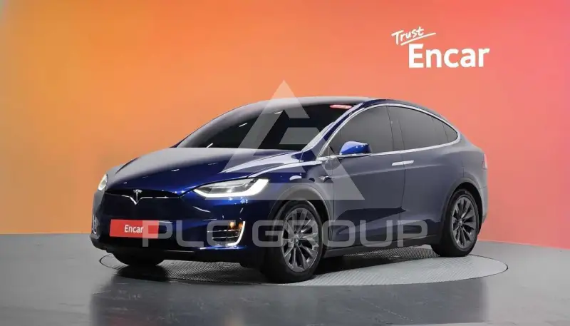 2019 Tesla Model X