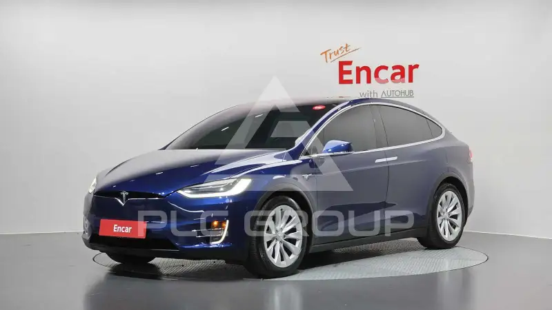 2019 Tesla Model X