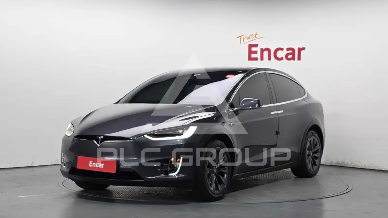 2019 Tesla Model X