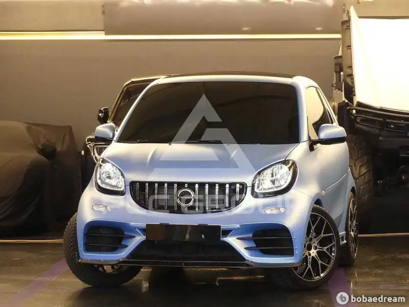 2019 Smart Porto