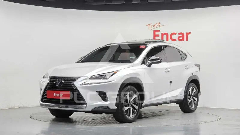 2019 Lexus NX