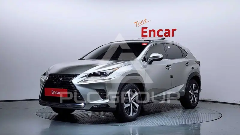 2019 Lexus NX