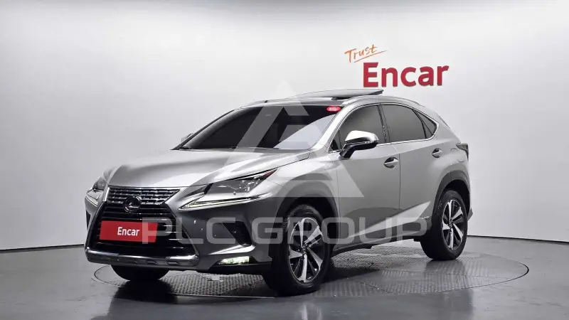 2019 Lexus NX