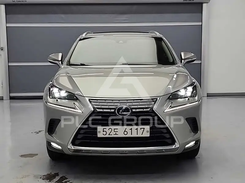 2019 Lexus NX