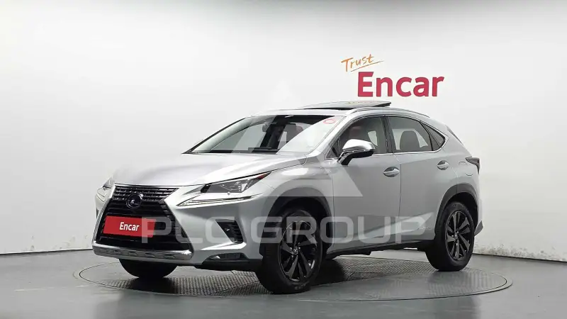 2019 Lexus NX