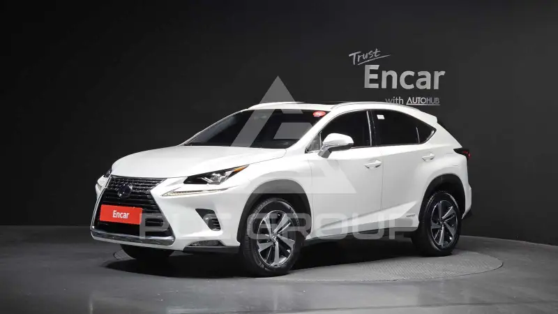 2019 Lexus NX