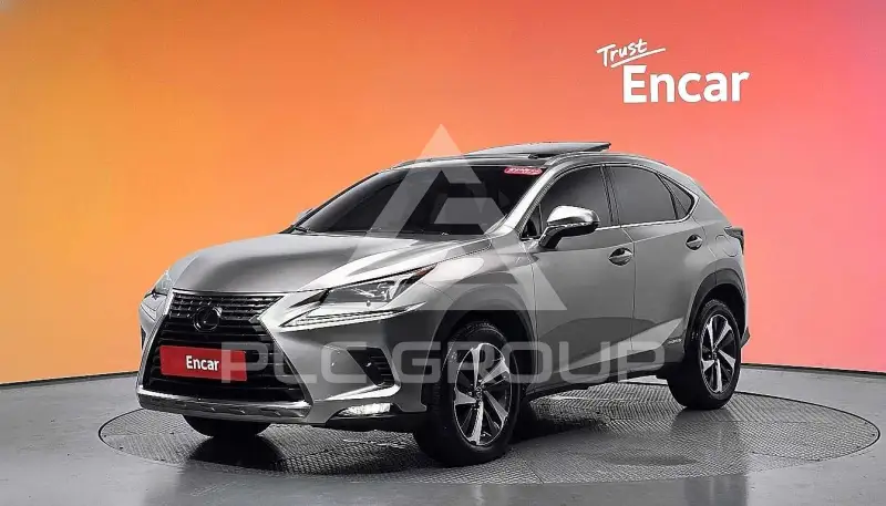 2019 Lexus NX