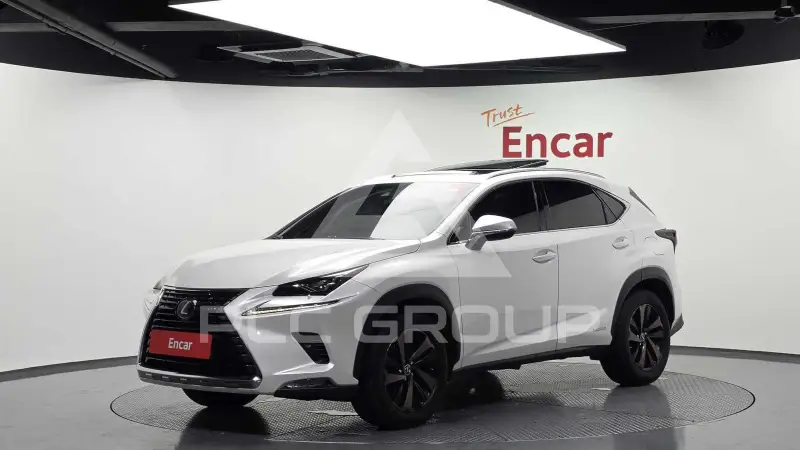 2019 Lexus NX