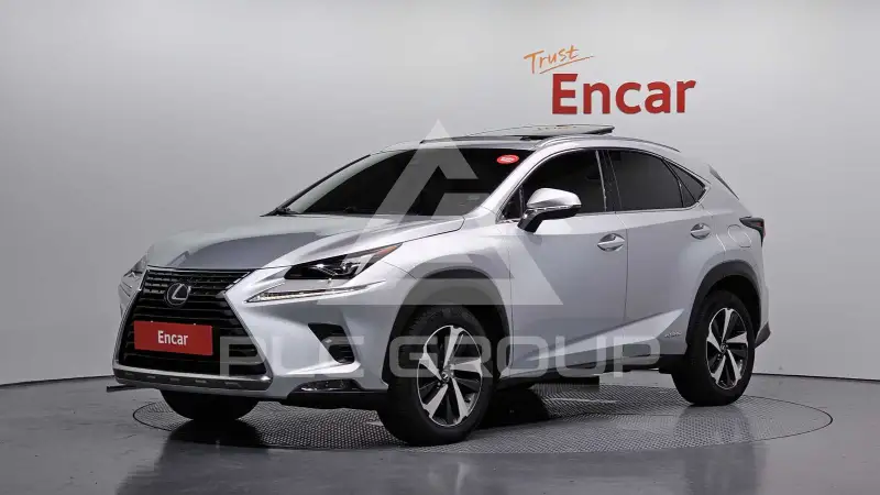 2019 Lexus NX