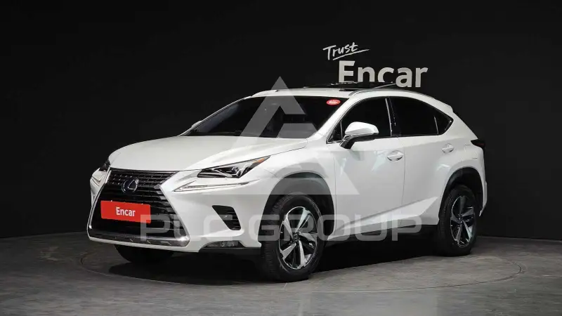 2019 Lexus NX