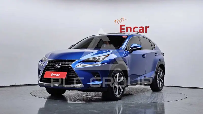 2019 Lexus NX