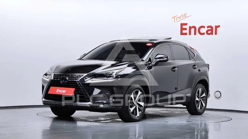 2019 Lexus NX