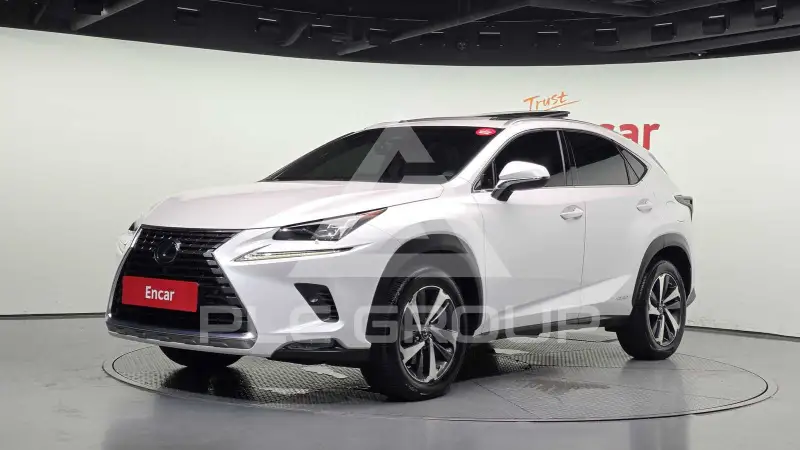 2019 Lexus NX