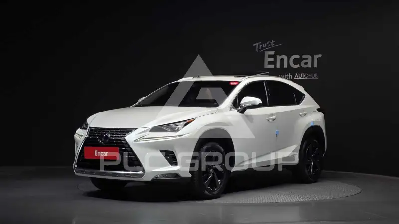 2019 Lexus NX