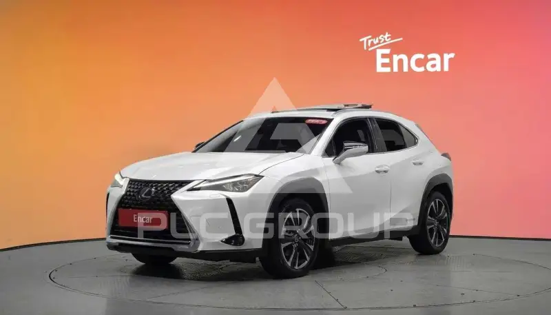 2019 Lexus UX