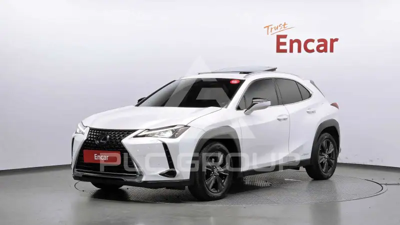 2019 Lexus UX
