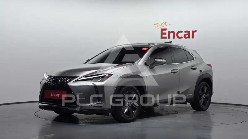 2019 Lexus UX