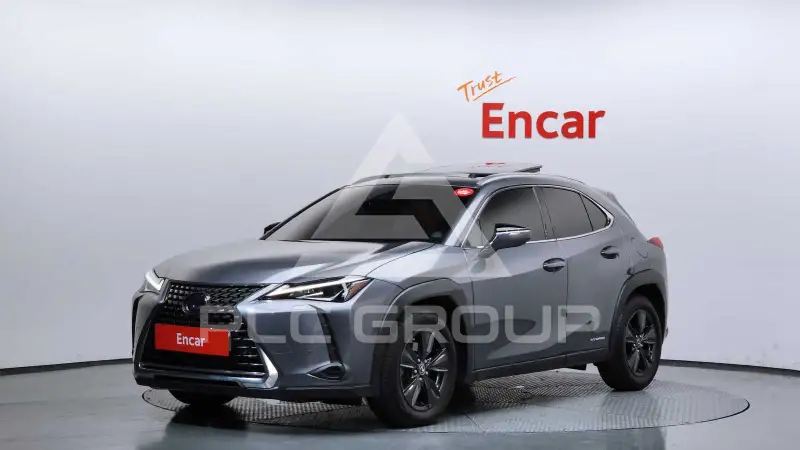 2019 Lexus UX