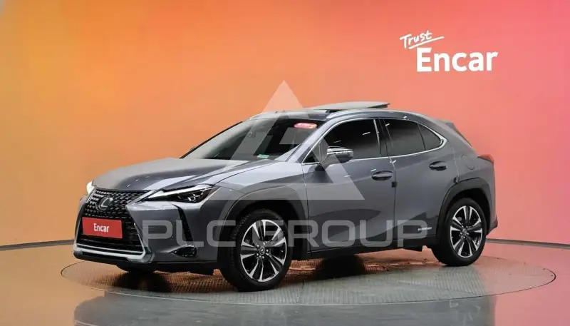 2019 Lexus UX