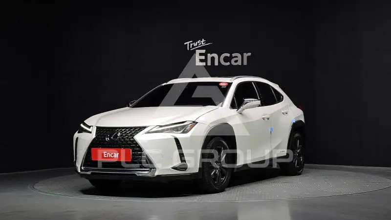 2019 Lexus UX