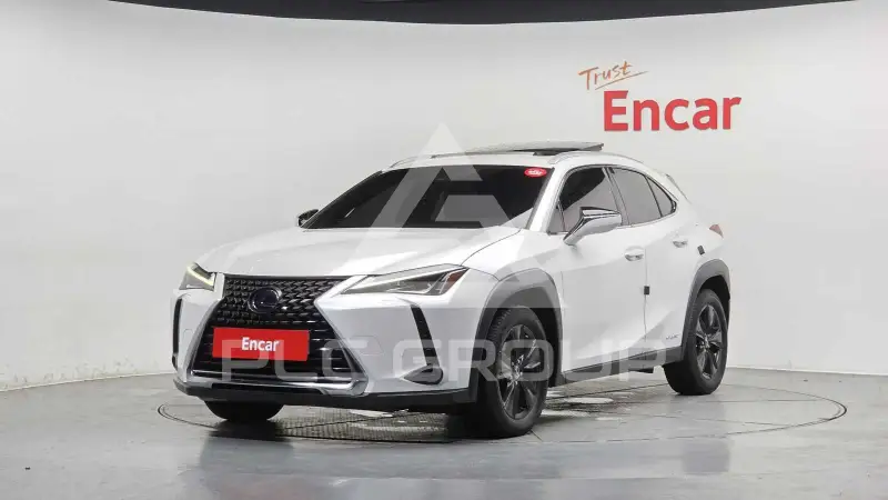 2019 Lexus UX