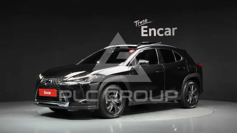 2019 Lexus UX