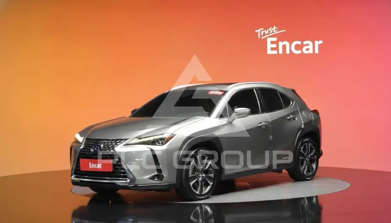 2019 Lexus UX