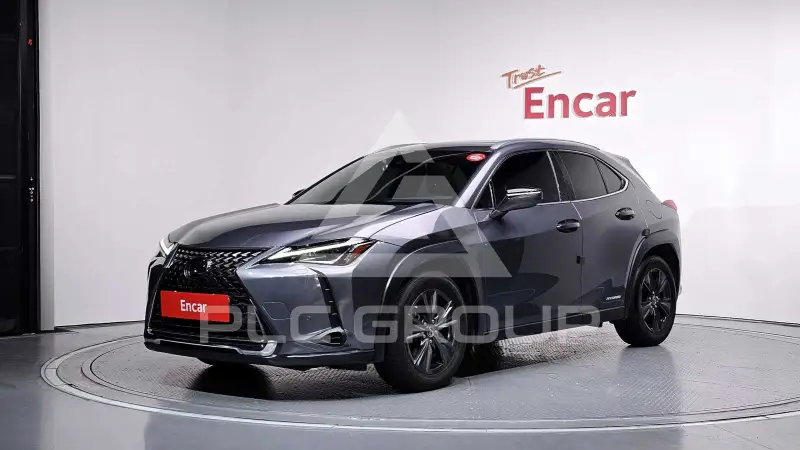 2019 Lexus UX