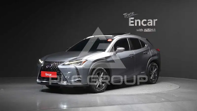 2019 Lexus UX