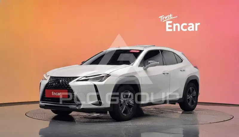 2019 Lexus UX
