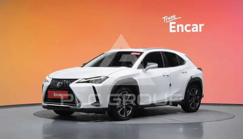 2019 Lexus UX