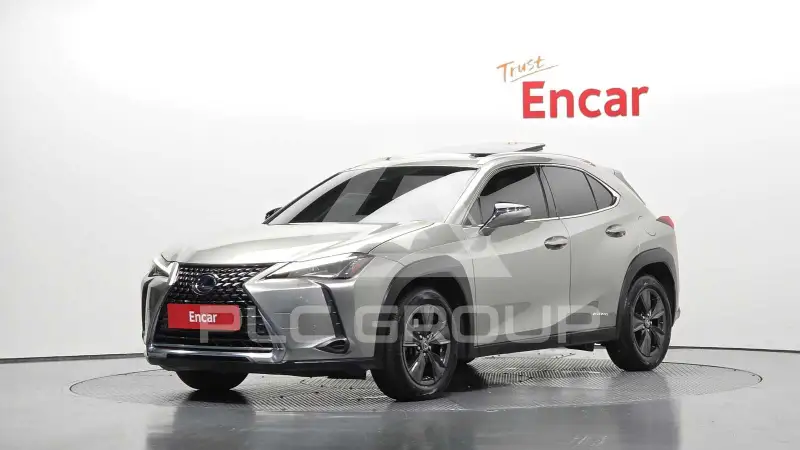 2019 Lexus UX