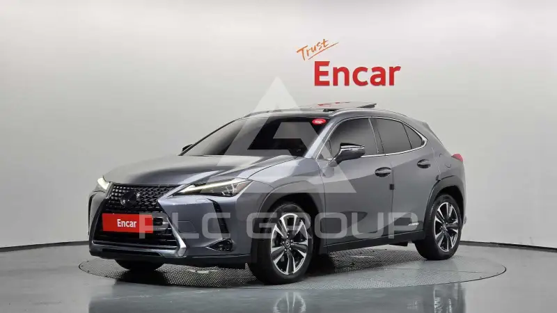2019 Lexus UX