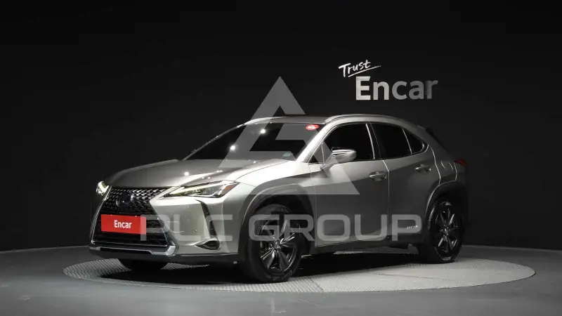 2019 Lexus UX