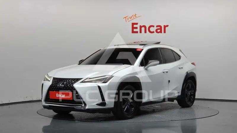 2019 Lexus UX