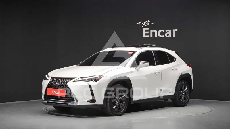 2019 Lexus UX