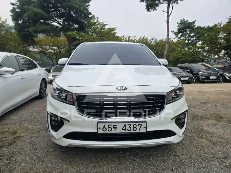 2019 KIA Carnival