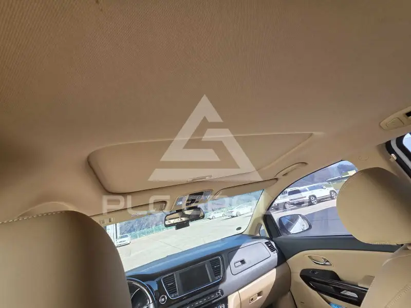 2019 KIA Carnival